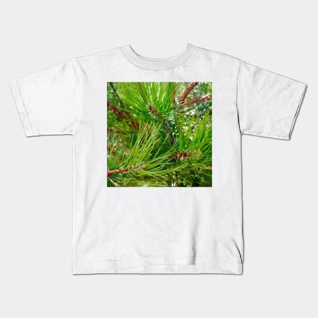 Pinyon Pine Needles Kids T-Shirt by DANAROPER